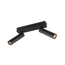 Ambala LED loftspot, 2 lyskilder, sort, metal, CCT, dæmpbar^Trio Lighting Outlet