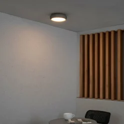 FARO BARCELONA Anga udendørs loftlampe, mørkegrå, beton, Ø 24 cm