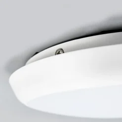 LED-loftlampe Augustin, Ø 20 cm, 4.000 K, IP54^Arcchio Outlet