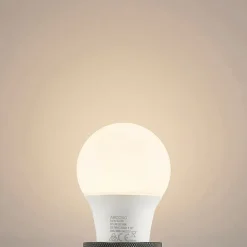Arcchio LED-pære E27 A60 4,9W opal 3.000K 480 lm