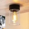 Arcchio Udendørs Loftlamper>Liljana udendørs loftslampe, IP65, sort