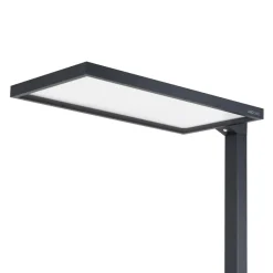 Nelus LED-gulvlampe til kontor, sort sensor^Arcchio Best