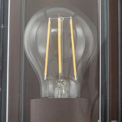 udendørs væglampe Ismera, rustfarvet, IP65, glas, E27^Arcchio