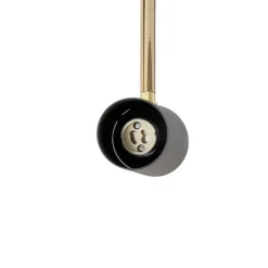 Luminex Spotlights><noscript><img width=