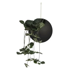 AYTM Møbel Og Interiør>Globe blomsterkrukke, hængende, Ø 17 cm, sort, aluminium