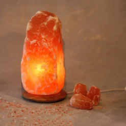 Wagner Life Belyst saltkrystal Rock med træsokkel