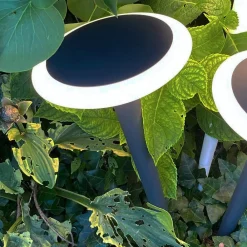 Deko-Light Bermuda LED-sokkellampe med jordspyd, sortgrå