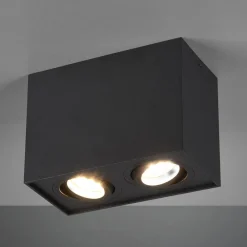 Biscuit loftlampe, 2 lyskilder, sort^Trio Lighting Hot