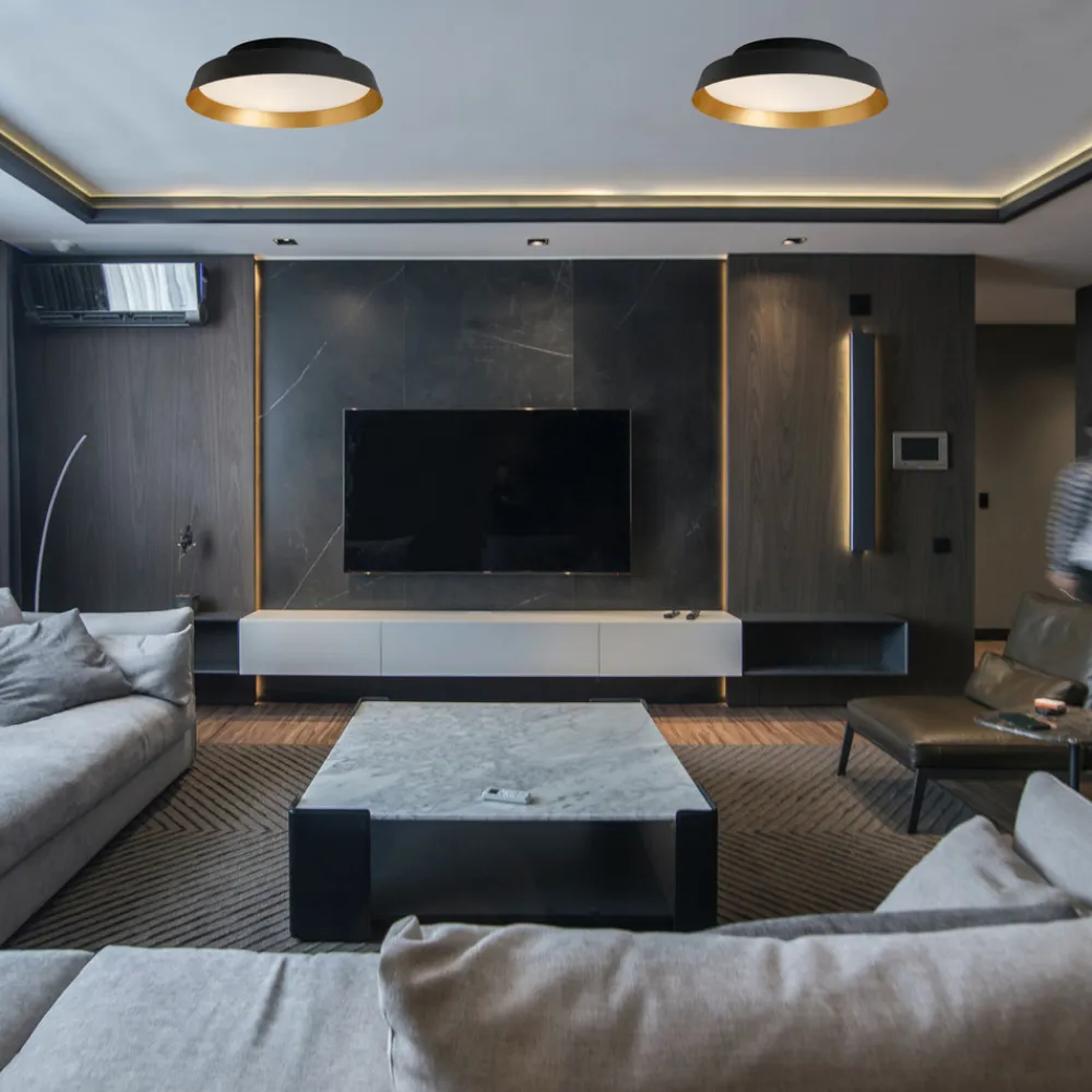 Boop! LED udendørs loftlampe Ø37cm sort/guld^Carpyen Online