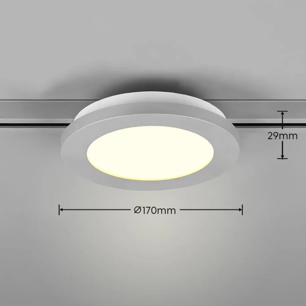 Camillus LED-skinnelampe til DUOline, titanium, Ø 17 cm^Trio Lighting Sale