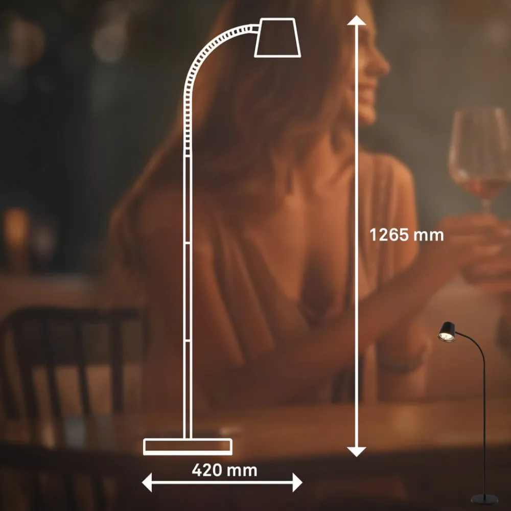 Briloner Gulvlamper|Gulvlamper>Cielo LED-gulvlampe, sort, touchdæmper, USB-kabel