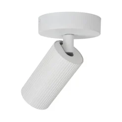 Lucide Spotlights><noscript><img width=