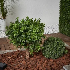 Dew Drop - solcelle-lyskæde 250 cm lang^STAR TRADING Discount