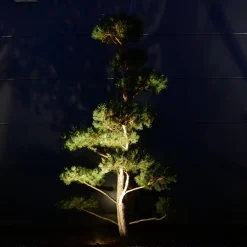 dot-spot Udendørs Spot>Clarios Mini jordspyd spotlight-forlænger