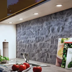 Hera Underskabsbelysning>Dynamic FR 55 LED-møbelindbygningslampe