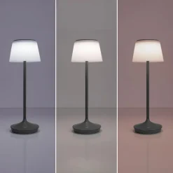 Emmi LED-bordlampe, solcelle, CCT, opladelig, grå^Näve Best