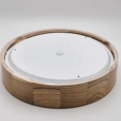 Envostar Loftlamper><noscript><img width=