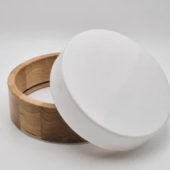 Envostar Loftlamper><noscript><img width=