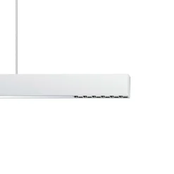 ERCO Skinnesystem>Compar P DALI up/down oval wide hvid/sølv 930