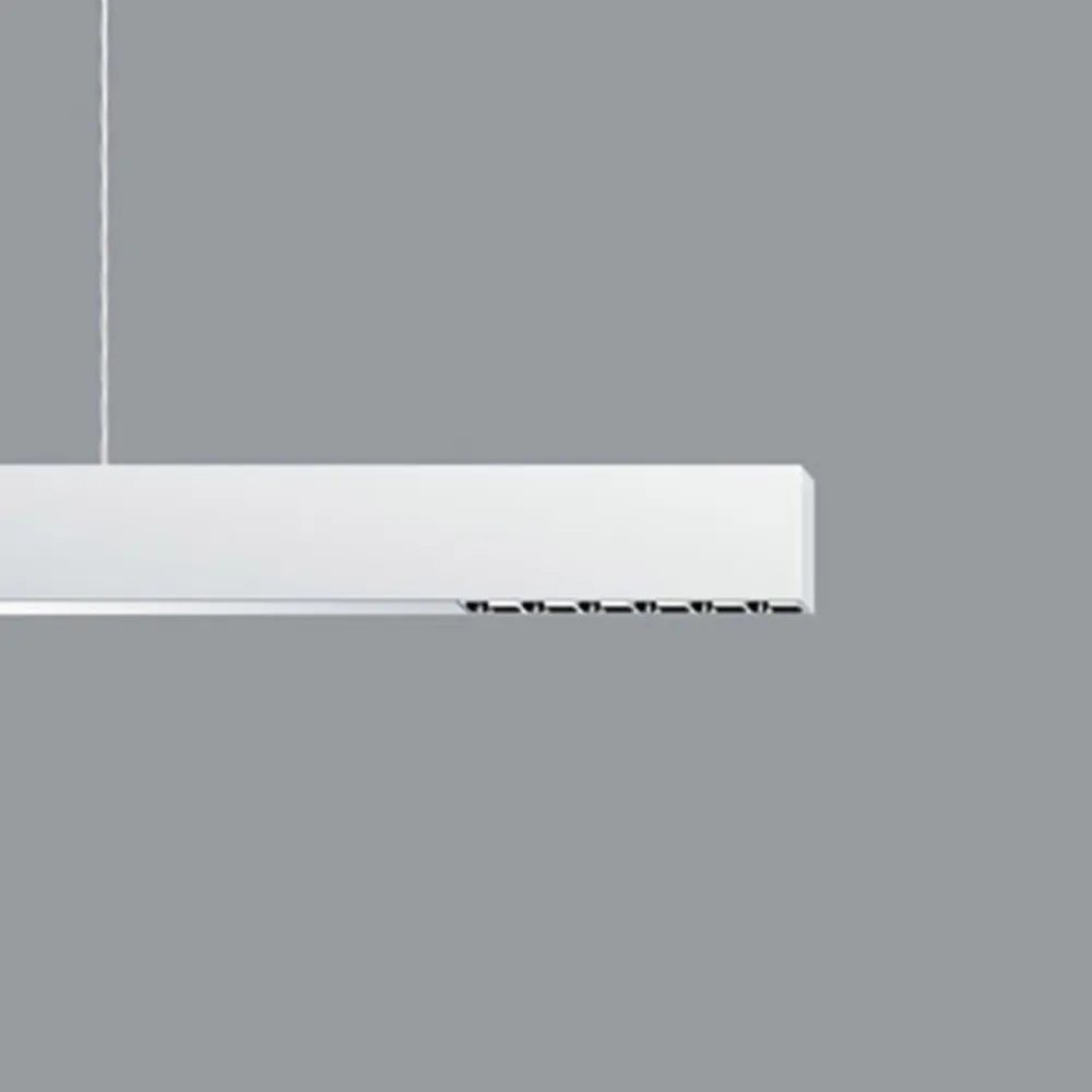 ERCO Skinnesystem>Compar P DALI up/down oval wide hvid/sølv 930