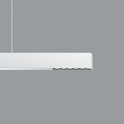 Compar P DALI up/down oval wide hvid/sølv 940^ERCO Hot