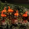 Konstsmide Season Dekorationsbelysning>Flamingo LED dekorationslys i et sæt med 5 stk