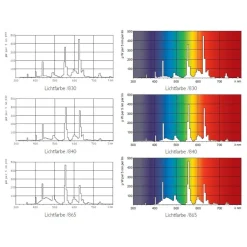 G13 T8 51W 865 Master TL-D Eco^Philips Sale