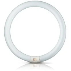 G10q 40W 840 ring-lysstofrør Master Circular TL-E^Philips Outlet
