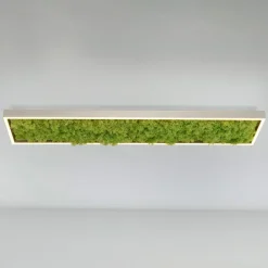 Green Knut LED-loftlampe med ægte mos^JUST LIGHT. GmbH Hot