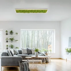 Green Knut LED-loftlampe med ægte mos^JUST LIGHT. GmbH Hot