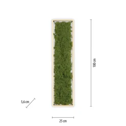 Green Knut LED-loftlampe med ægte mos^JUST LIGHT. GmbH Hot