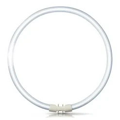 Philips Lysstofrør>2GX13 60W 840 ringformet lysstofrør Master TL5