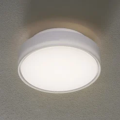 Fabas Luce Loftlamper>Hatton LED-loftlampe, IP65, 25 cm