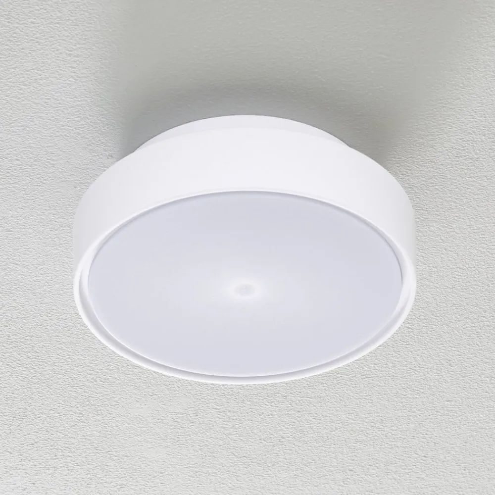 Fabas Luce Loftlamper>Hatton LED-loftlampe, IP65, 25 cm