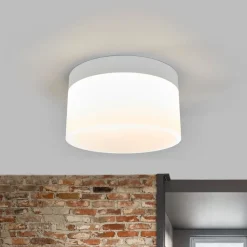 Liv LED-loftlampe Ø 20 cm^Helestra Outlet