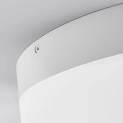 Liv LED-loftlampe Ø 20 cm^Helestra Outlet