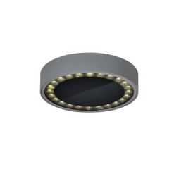 Helestra Say LED udendørs loftlampe grafit Ø23cm