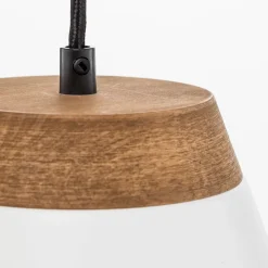 Luminex Pendellamper><noscript><img width=