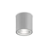 Ideallux Udendørs Loftlamper>Ideal Lux loftlampe Gun, grå, aluminium, IP44, GU10