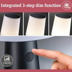 Paulmann Ilanga Solcelle Lampe Anthracite -