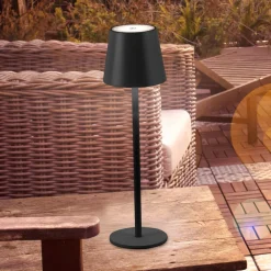 JUST LIGHT. GmbH Dekorationsbelysning>JUST LIGHT. Euria LED-bordlampe, sort, jern IP54