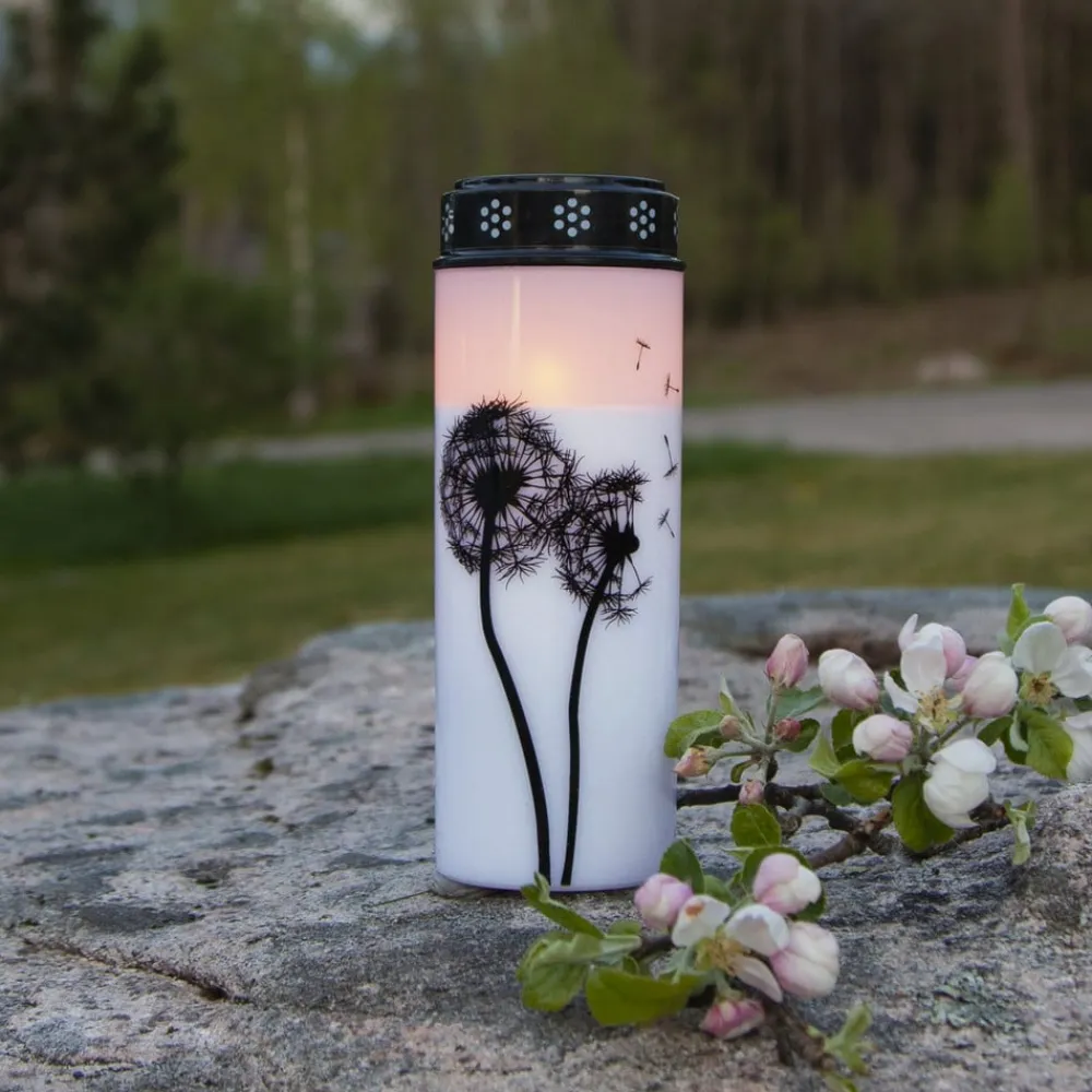 STAR TRADING LED gravlys Mælkebøtte, 21 cm hvid/sort plast batteri