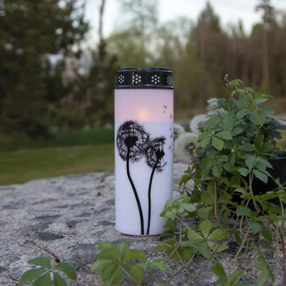 STAR TRADING LED gravlys Mælkebøtte, 21 cm hvid/sort plast batteri