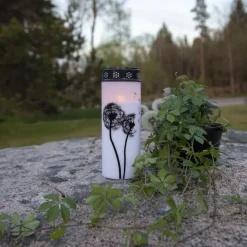 STAR TRADING LED gravlys Mælkebøtte, 21 cm hvid/sort plast batteri