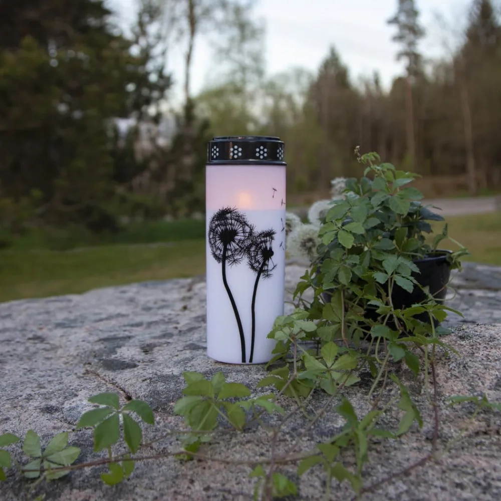 STAR TRADING LED gravlys Mælkebøtte, 21 cm hvid/sort plast batteri