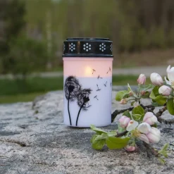 STAR TRADING Dekorationsbelysning>LED gravlys Mælkebøtte, 12 cm hvid/sort plast batteri