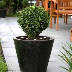 EGLO LED jordlys Spinetoli 2, sæt med 6 med jordspyd