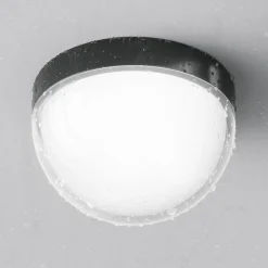 Maytoni Udendørs Loftlamper><noscript><img width=