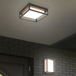 Trio Lighting Udendørs Loftlamper>LED udendørs loftslampe Witham IP54, CCT, antracit