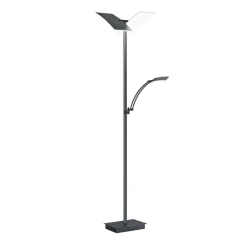 LED-gulvlampe Andy, 3 lyskilder, antracit, CCT, dæmper^HELL Outlet